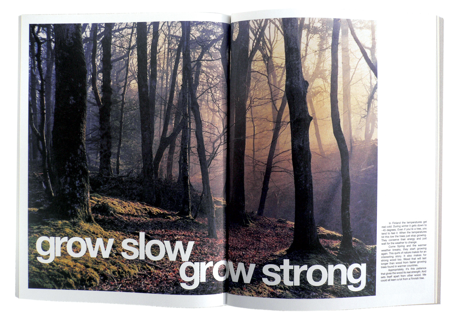 B_grow-slow-grow-strong-cutout